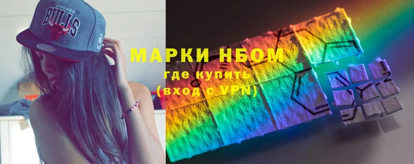 шишки Белокуриха