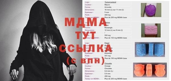 шишки Белокуриха