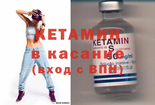 шишки Белокуриха