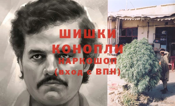 шишки Белокуриха