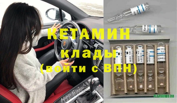 шишки Белокуриха