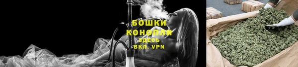 шишки Белокуриха