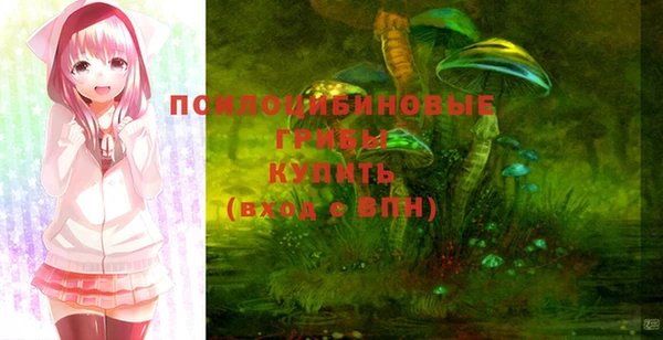 прущие крисы Белоозёрский