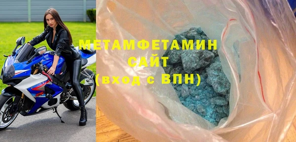 шишки Белокуриха