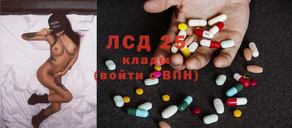 шишки Белокуриха