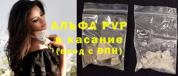 сатива Сатка