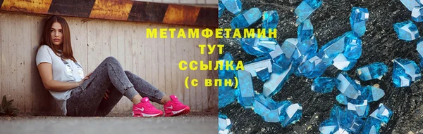 шишки Белокуриха