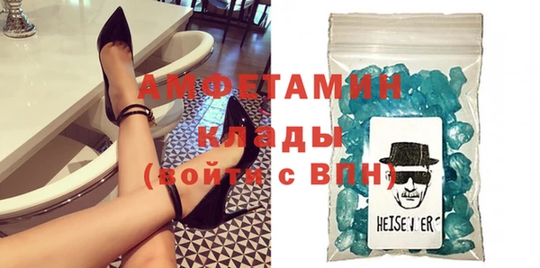 шишки Белокуриха
