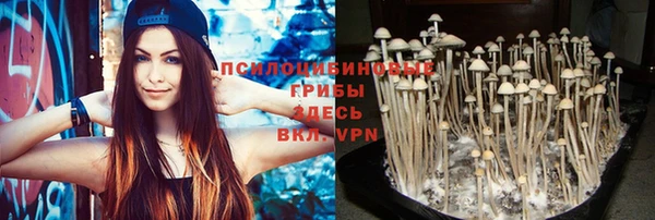 шишки Белокуриха