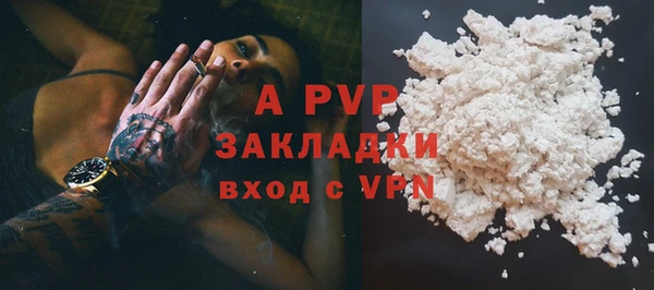 шишки Белокуриха